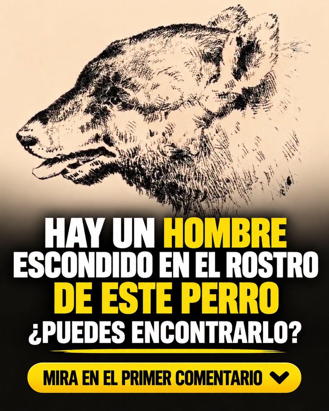 Acertijo visual: encuentra el rostro escondido en la imagen de un lobo en solo 15 segundos