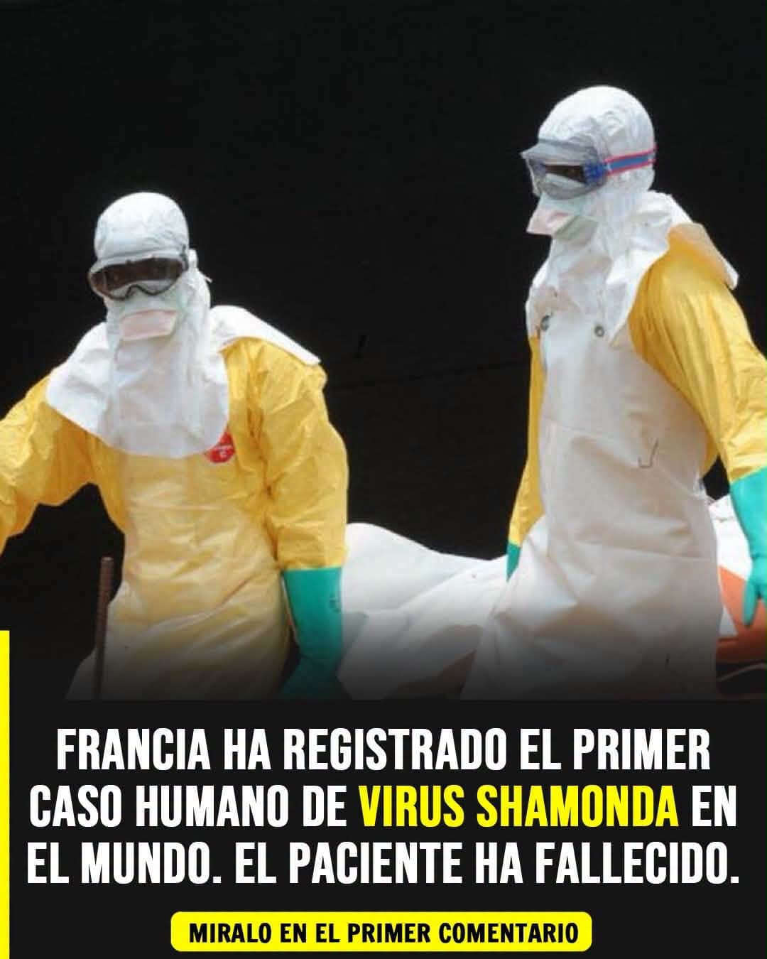 Virus Shamonda: muere en Francia el primer paciente humano y qué se sabe sobre el contagio